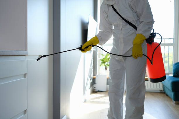 Best Mold Damage Repair  in Osceola Mills, PA
